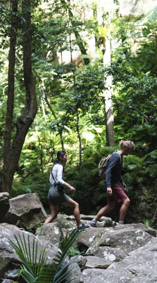 Watagans National Park, North Coast