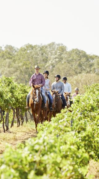 Group enjoying a guided horseback tour with Murchessons Horse Wine & Dine Tours at Hanging Tree Wines in Pokolbin, Hunter Valley