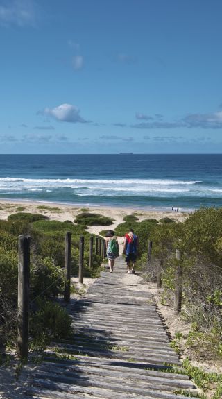 Pelican Beach Rd lookout, Wyrrabalong National Park, Wyong Area on the Central Coast