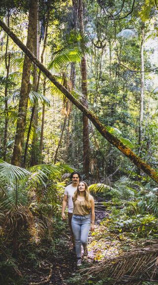 Couple enjoying a walk through Burrawan State Forest, Herons Creek in Port Macquarie, North Coast