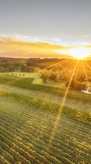 Bendooley Estate, Berrima
