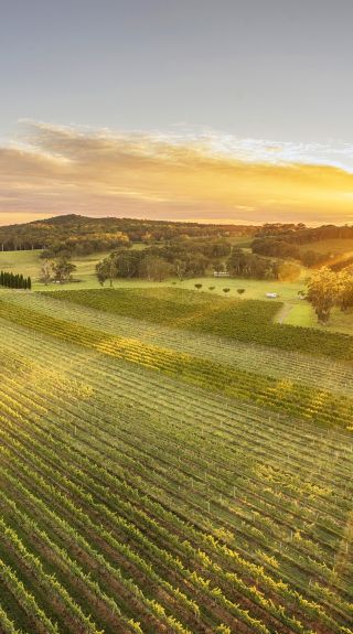 Bendooley Estate, Berrima