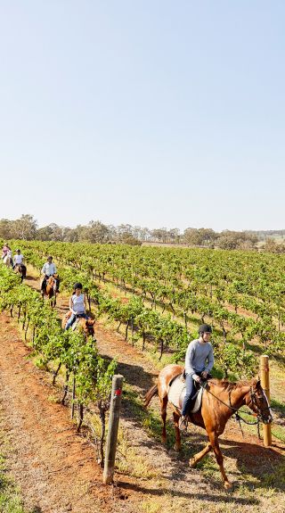 Murchessons Horseback Wine and Dine Tours - Hunter Valley