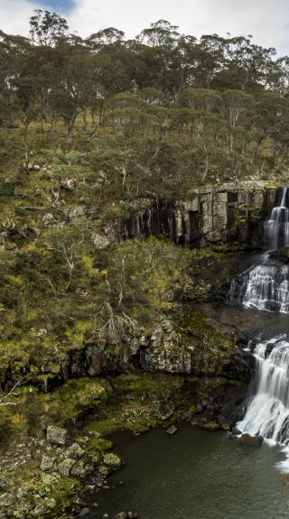 The scenic Ebor Falls in Guy Fawkes River National Park in Ebor, Armidale Area, Country NSW