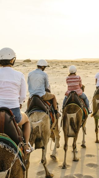 Sunset camel riding experience with in Anna Bay - Port Stephens