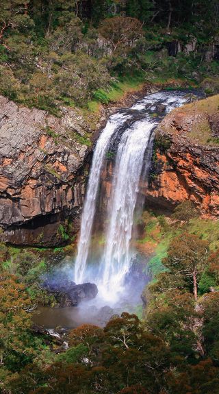 Ebor Falls, Armidale Area - Country NSW. Credit: Armidale Visitor Information Centre