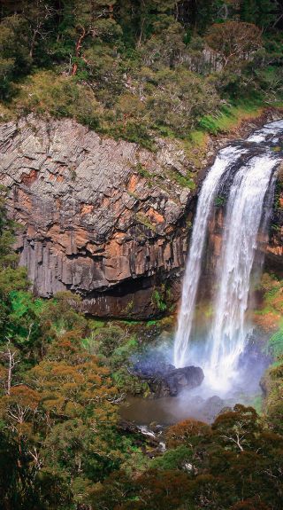 Ebor Falls, Ebor- Credit: Armidale Visitor Information Centre