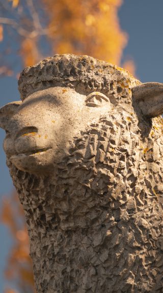 The Big Lamb monument in Guyra celebrating the region's potato and lamb industries