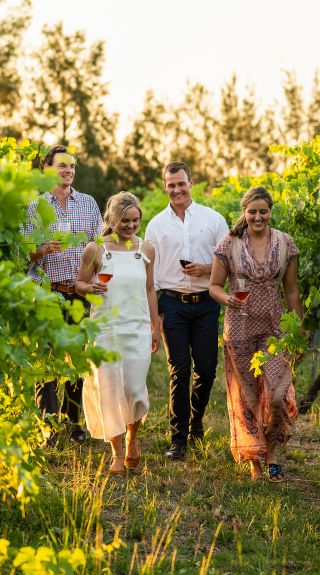 Couples enjoying food and wine at Grove Estate Wines, Young