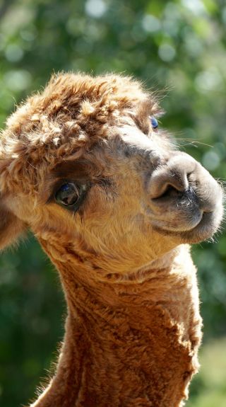 Mark Relf Things to do in Port Macquarie & surrounds | Visit NSW