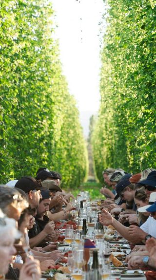 Ryefield Hops 'Dine in the Bines' - Credit: Ryefield Hops
