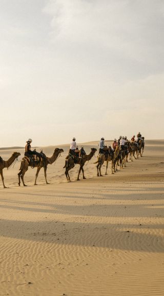 Sunset camel riding experience, Anna Bay