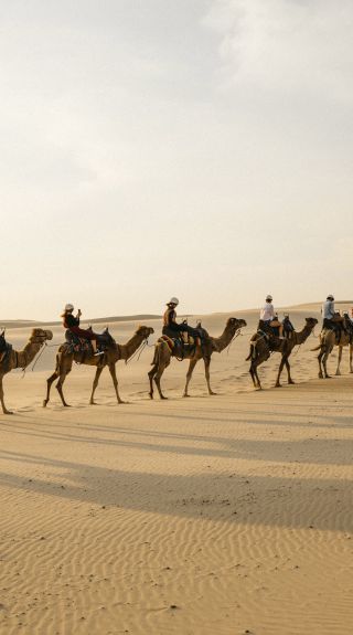 Sunset camel riding experience, Anna Bay