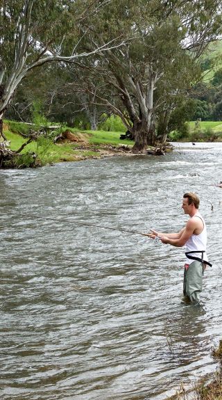 Fly Fishing, Tumut
