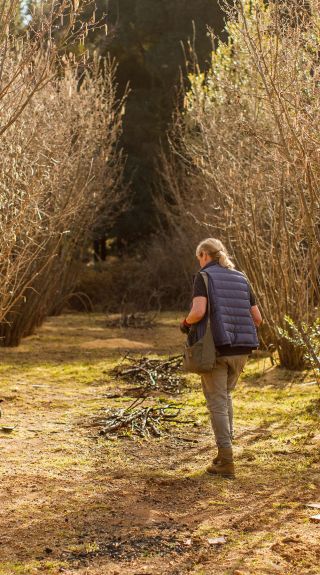 Terra Preta Truffles, Braidwood