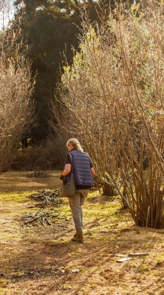 Terra Preta Truffles, Braidwood