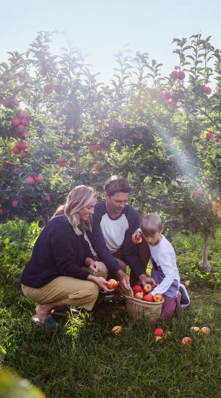 Shields Orchard, Bilpin