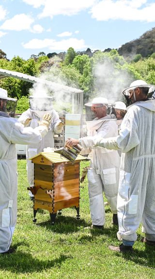 Bowral Beekeeping, Bowral