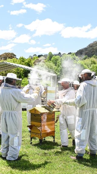 Bowral Beekeeping, Bowral