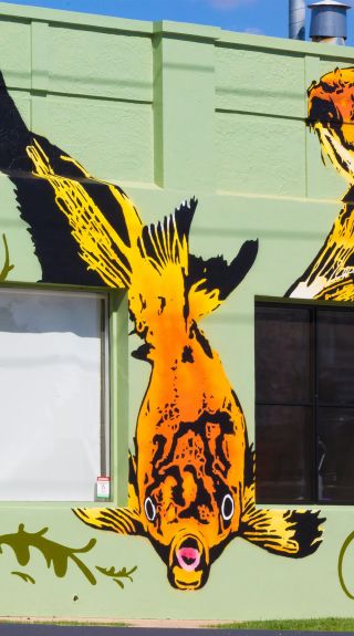 The Goldfish Bowl, Armidale - Credit: Armidale Regional Council 