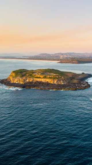 Cook Island, Fingal Head