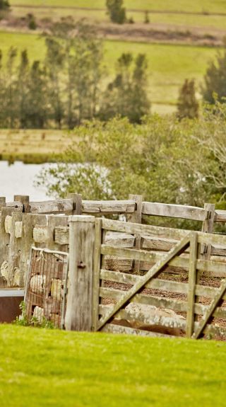Tocal Homestead, Paterson