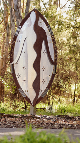 Couple enjoying the Reconciliation Shield Sculpture by artist Tamara Murray - Wagirra Trail and Yindymarra Sculpture Walk, Albury