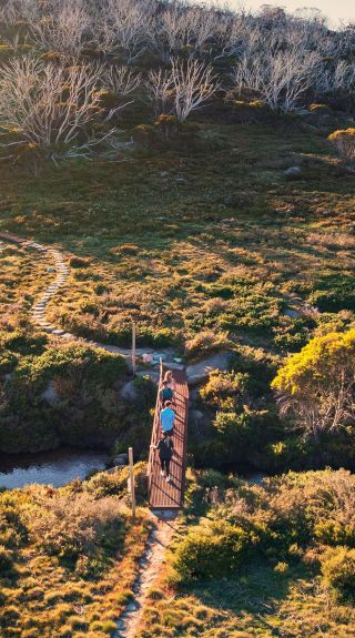 Snowies Alpine Walk, Snowy Mountains