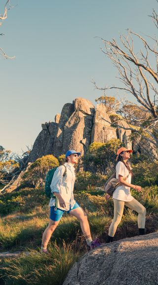 Snowies Alpine Walk, Snowy Mountains