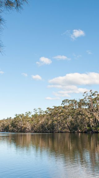 Corramy Regional Park, St Georges Basin - Credit: Michael Van Ewijk | DCCEEW