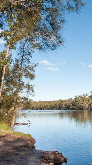 Corramy Regional Park, St Georges Basin - Credit: Michael Van Ewijk | DCCEEW