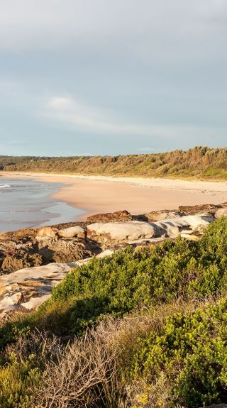Burrawang Track, Conjola Beach - Credit: Michael Van Ewijk | DCCEEW