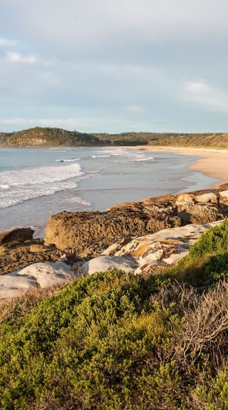 Burrawang Track, Conjola Beach - Credit: Michael Van Ewijk | DCCEEW