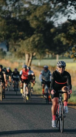 瓦加瓦加齒輪與啤酒節