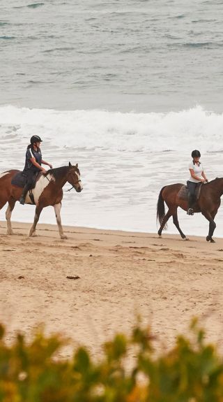 七英里海灘，肖爾黑文（Shoalhaven）黑文角