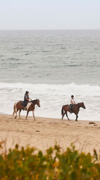 七英里海灘，肖爾黑文（Shoalhaven）黑文角