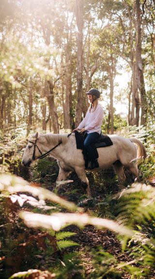 Zephyr Horses, Byron Bay