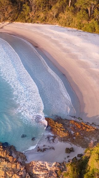 杰維斯海灣（Jervis Bay）尼爾森海灘