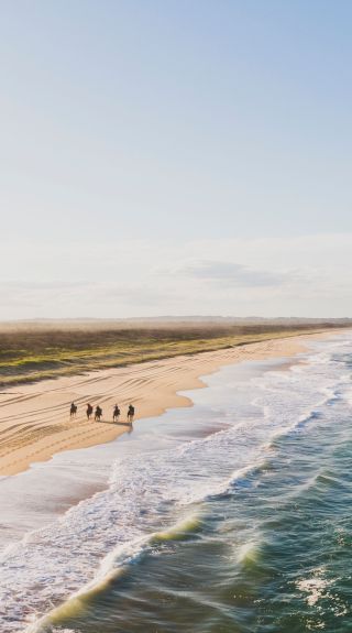 Nine Mile Beach, Tuncurry