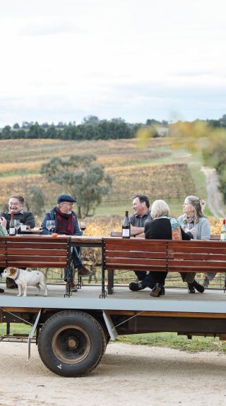 힐탑스 지역 와인 셀러, 영 - 출처: 홀리 브래드포드