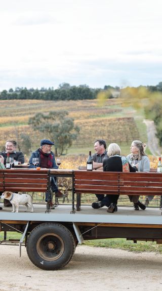 힐탑스 지역 와인 셀러, 영 - 출처: 홀리 브래드포드