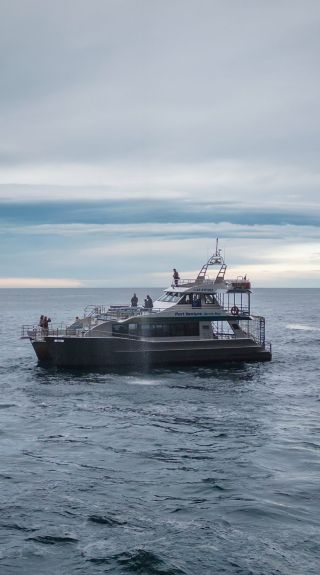 Jervis Bay Wild, Huskissons