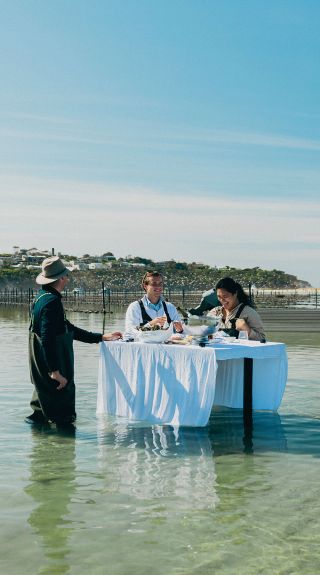 North of Eden Gin School, Stony Creek Farm Distillery