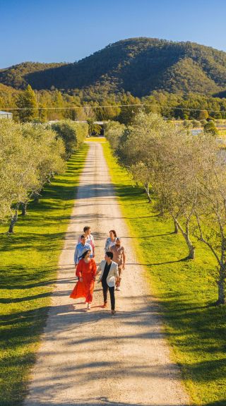 Visitors enjoying a walk past vineyards, Krinklewood Winery, Broke