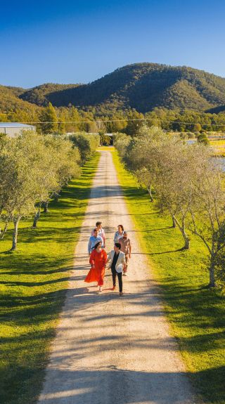 Visitors enjoying a walk past vineyards, Krinklewood Winery, Broke