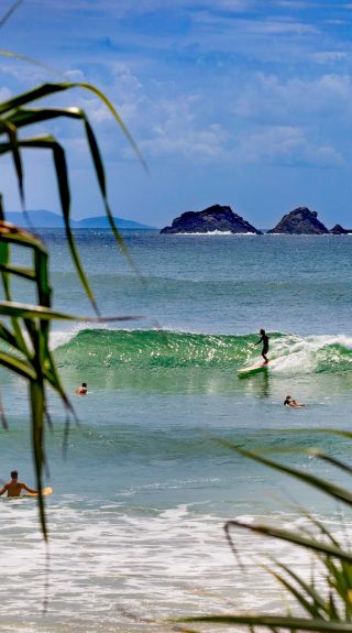 ザ・ファーム - キラリア州立公園 -サウス・コースト