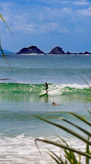 ザ・ファーム - キラリア州立公園 -サウス・コースト