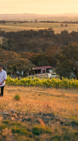 Winburndale Vineyard and Winery, Glanmire