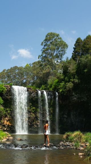 Dangar Falls, Dorrigo