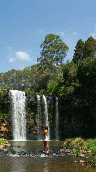 Dangar Falls, Dorrigo